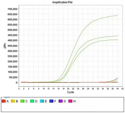 A new method for the rapid detection of the antibacterial and bacteriostatic activity of disinfectants based on Propidium Monoazide combined with real-time PCR